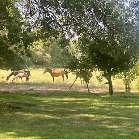 El Bosque De * Candeleda