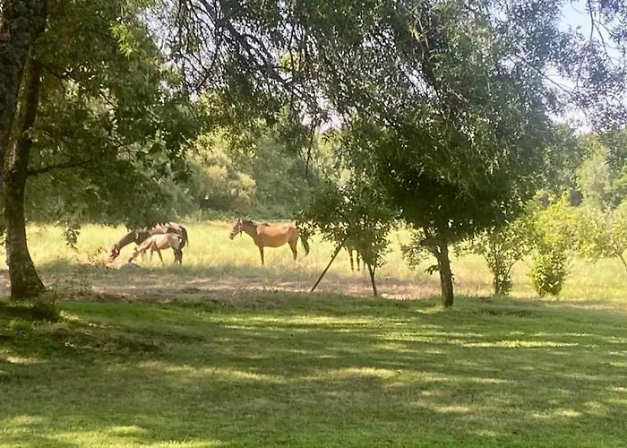 El Bosque De * 칸델레다